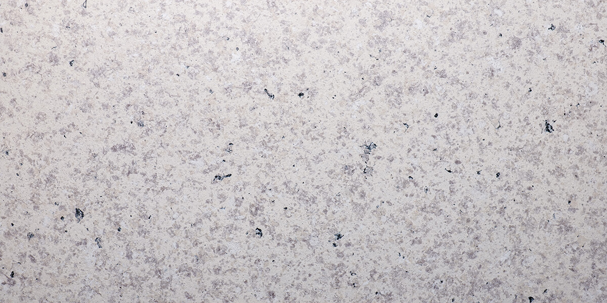 ACZ6109831A